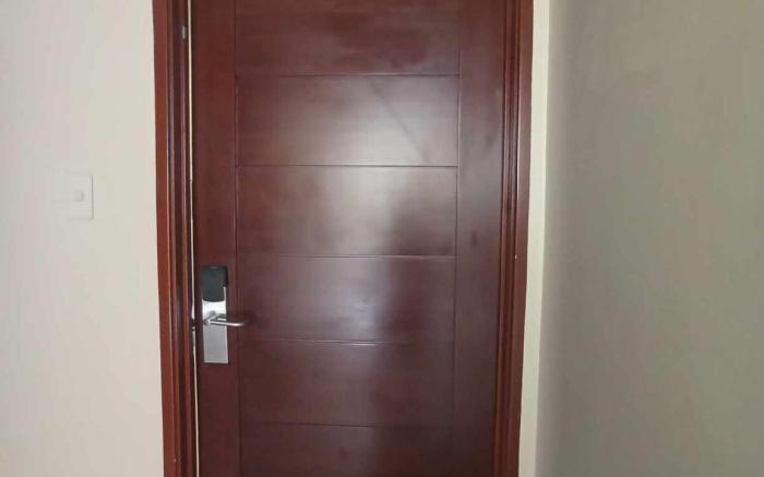 Spacious Studio Apartment B501