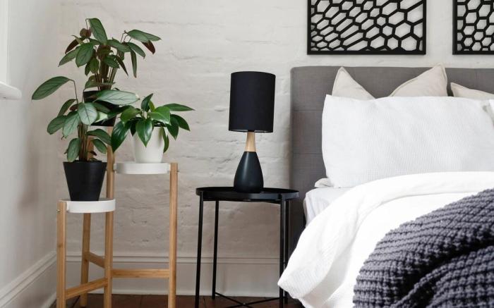 Perfect Laneway Terrace, Surry Hills