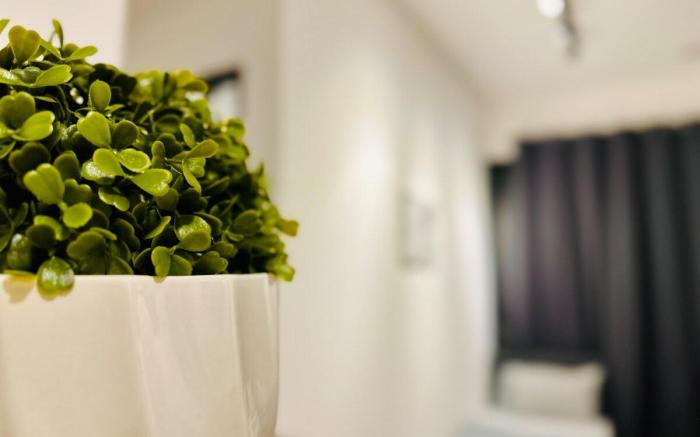 URBANSUITE 3BRPeaceful Escape 10pax@TownUSB1510 N