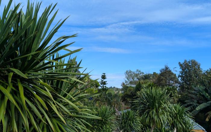 福福 Fufu In Love Khaokho