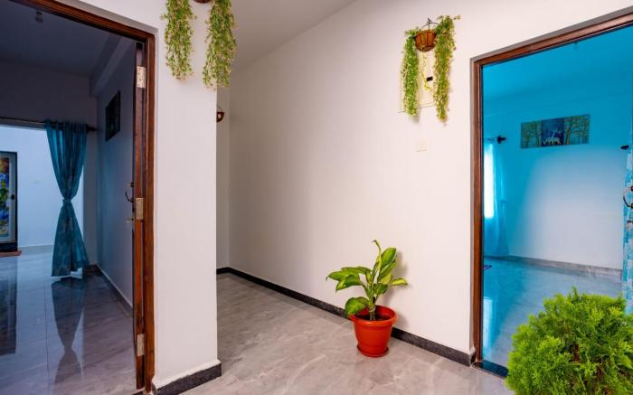 Goan Fiesta Studio CALANGUTE GOA