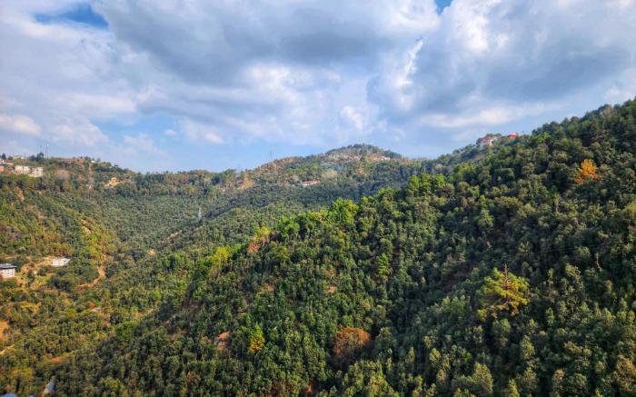 Lords Garden Glory - Centrally Heated - A Boutique Homestay