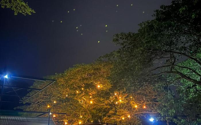 Glamping at Xscape Tambun