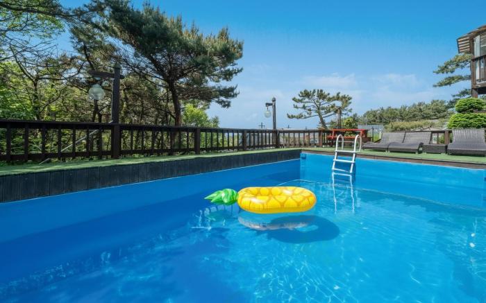 seonjaedo secret spa pension