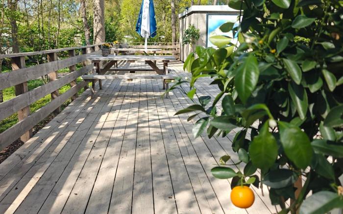 Frederiksværk Camping & Hostel