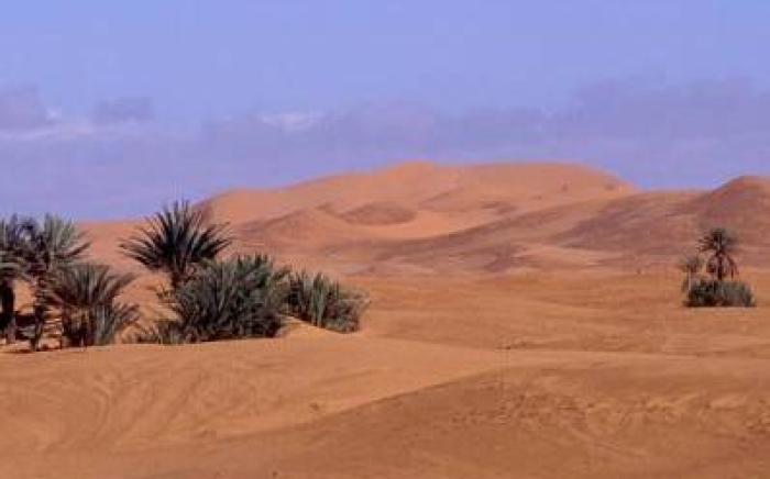 Dar El Janoub