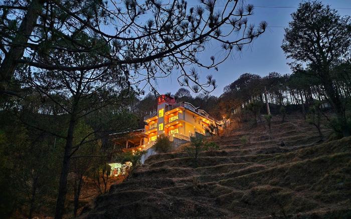 WONDER HILL KASAULI