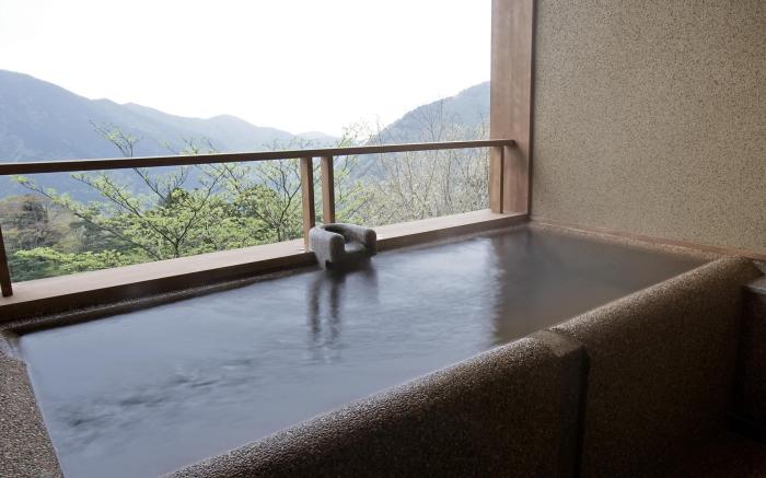 Hakone Ryouriyado Ryokan Kyuan