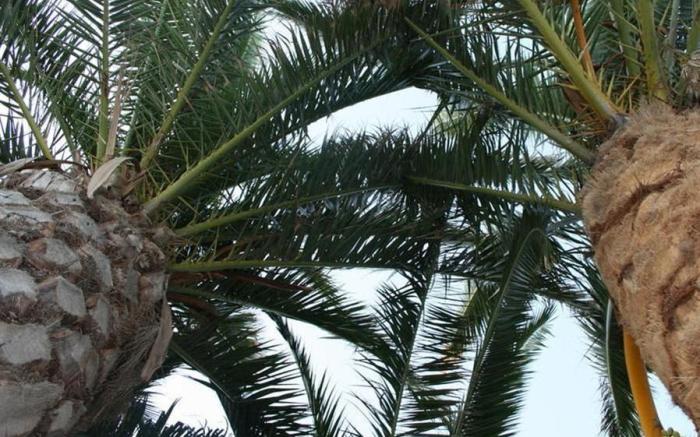 BlueBay Residence Resort