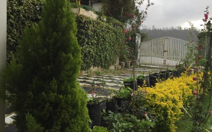 Mountain View Holiday Rentals