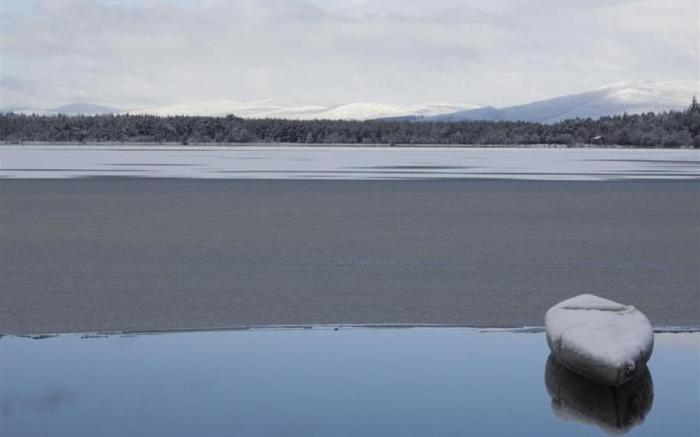 Scandinavian Village Ltd