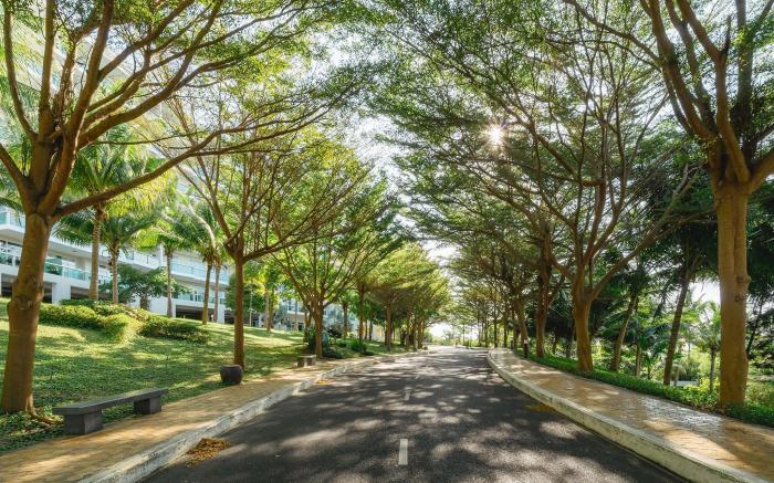 CĂN Hộ Ocean Vista 3PN View Biển 