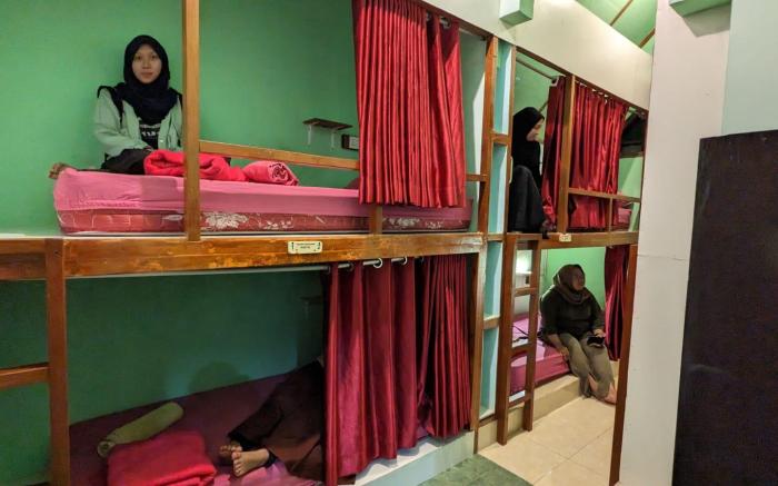 Sleepy Raccoon Hostel