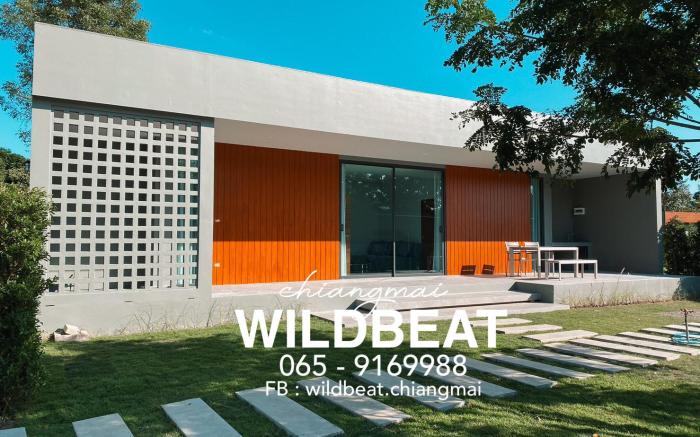 WILDBEAT Chiang Mai