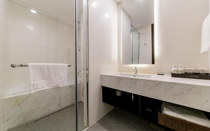 Hotel Arte