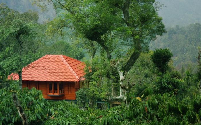 Avadale Wayanad (Stag Groups Not Allowed)