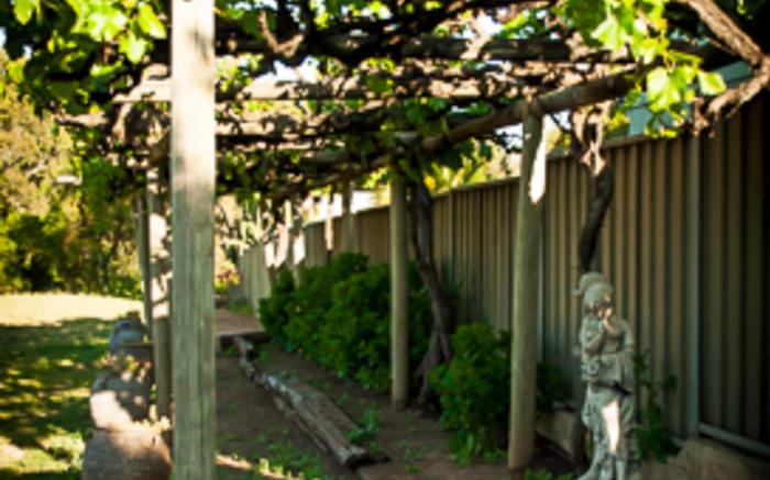 Angaston Vineyards Motel