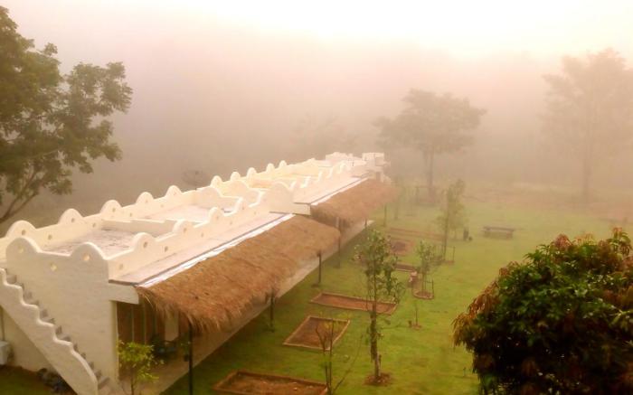 Dandelion Resort