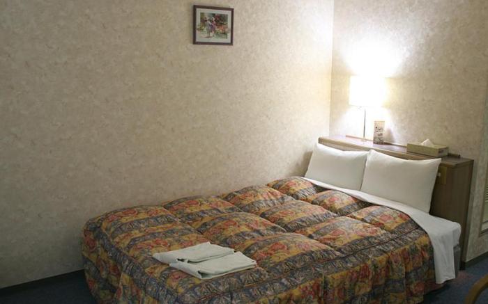 Shizuoka Daiichi Hotel