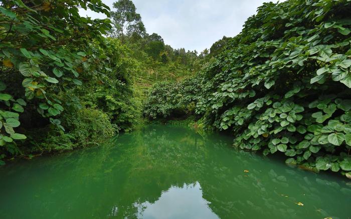 Rivulet Resort