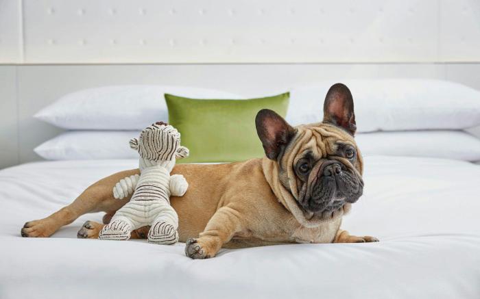 Charlotte Marriott SouthPark