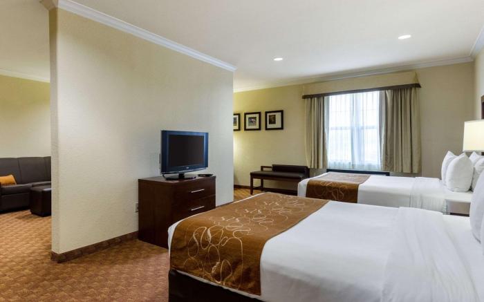 Comfort Suites near NASA - Clear Lake