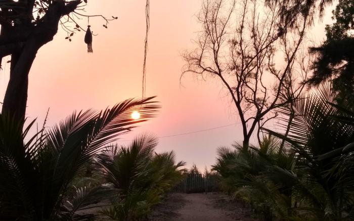 Whistling Waves Beach Resort