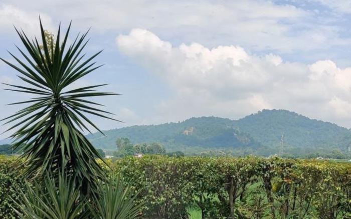 Eiyuu Hotels - Wildlife Nature Stayz
