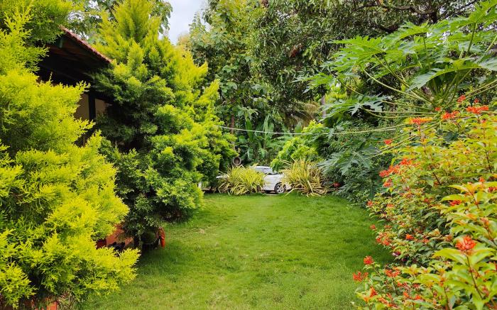 Yellaki Farm Stay