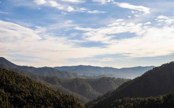 Bliss 3 Bedroom Villa Nainital Hills