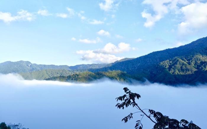 森悅雲海民宿