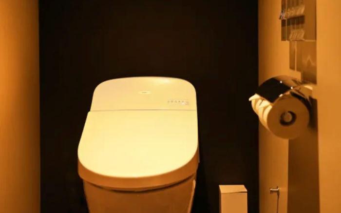 N Plus Hotel Akihabara