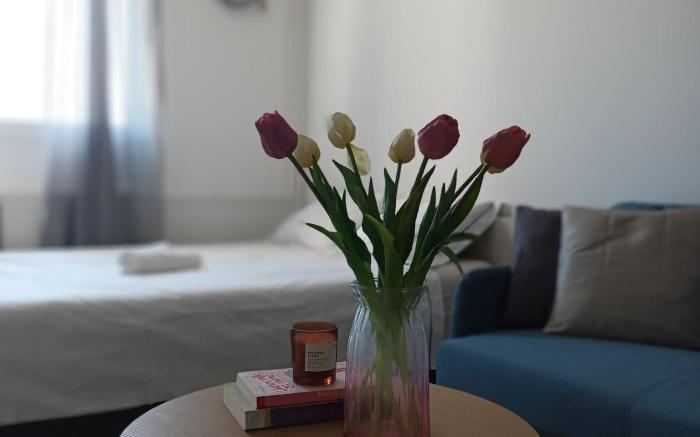 Bright and Modern studio near City Center