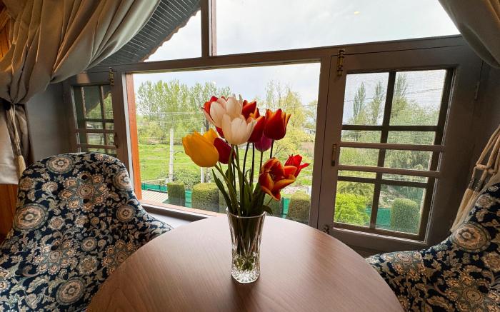 Tree of Life Lakeside Cottage, Srinagar