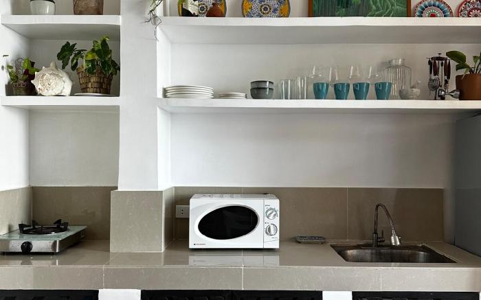 Two Bedroom Beachfront Penthouse