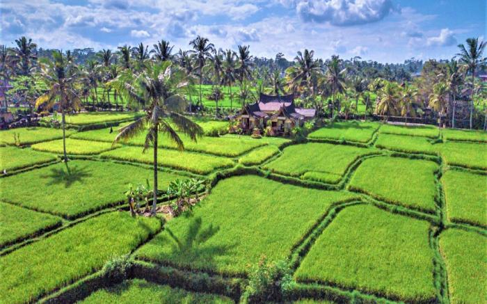Mathura Ubud