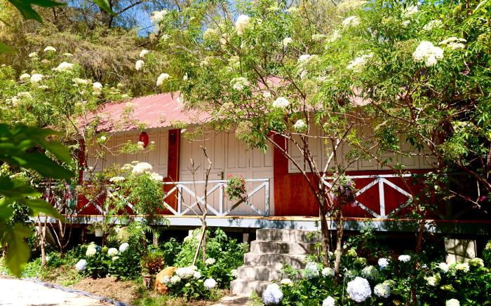 Vạn Tùng Homestay & Café