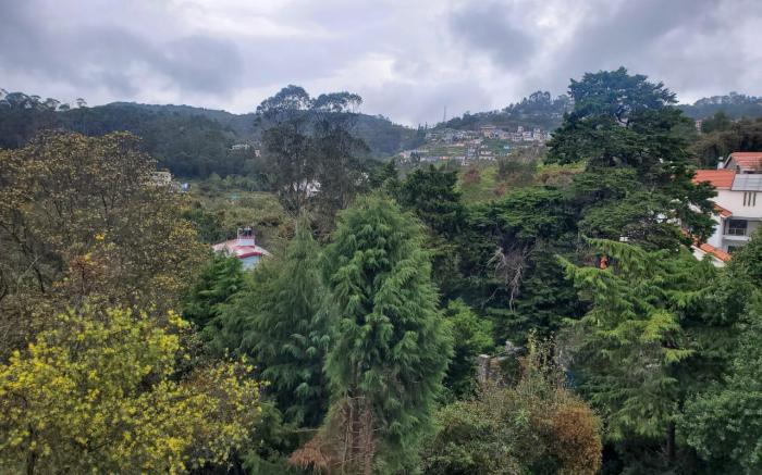 AVN Homestay