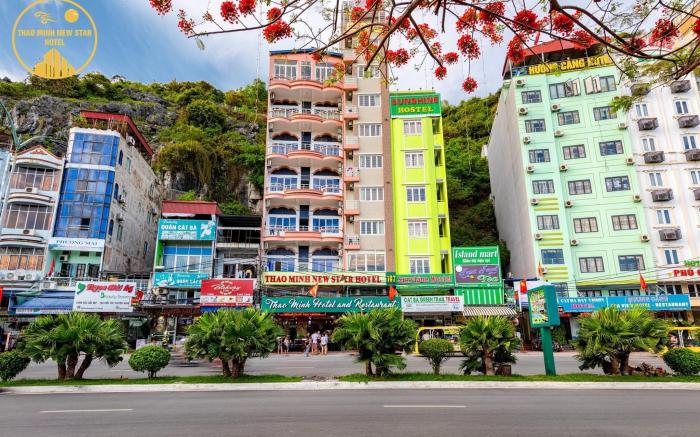 Central in Town - Thao Minh New Star Hotel