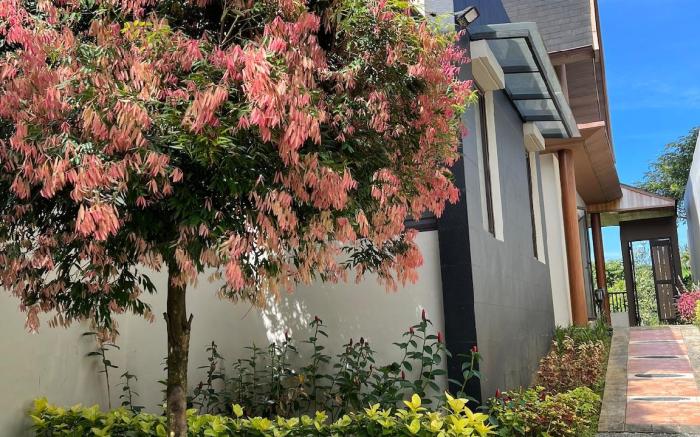 Villa Ophelia at Vimala Hills