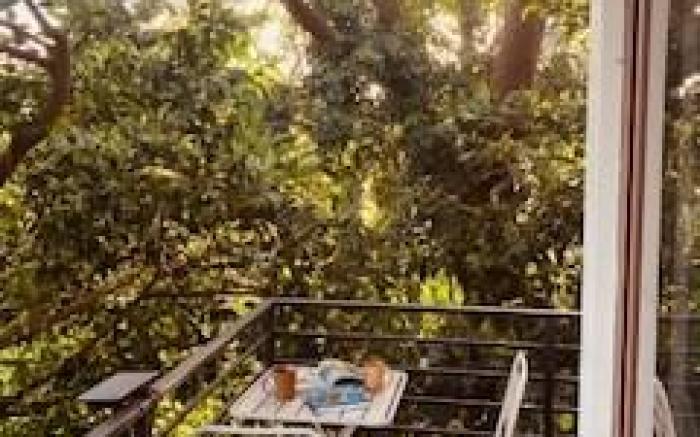 Farm Treasure find in Alfonso Cavite