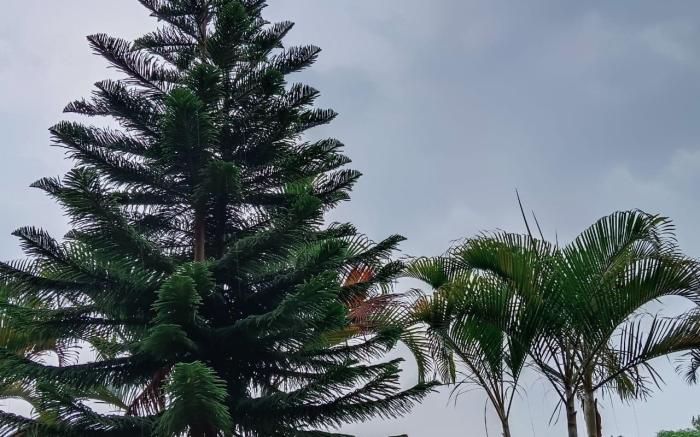 Cloud9Villa Yelagiri
