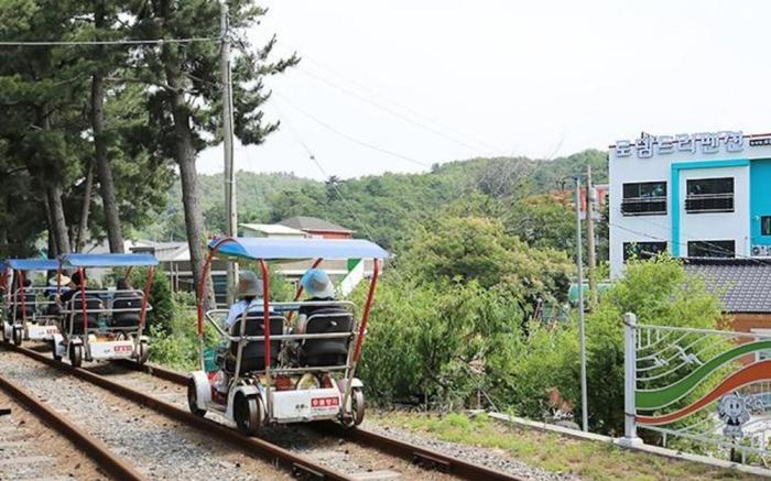 Samcheok RodemTree