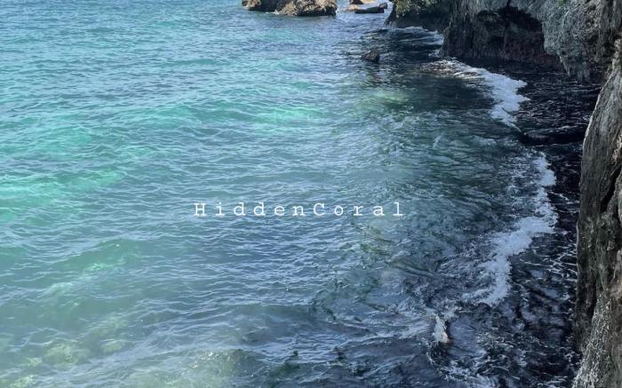 Hidden Coral Beach Club & Resort