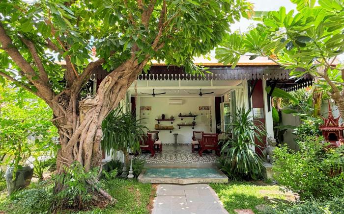 Moringa Tree Maison