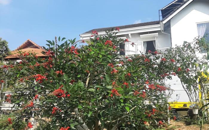 Mia villa dalat