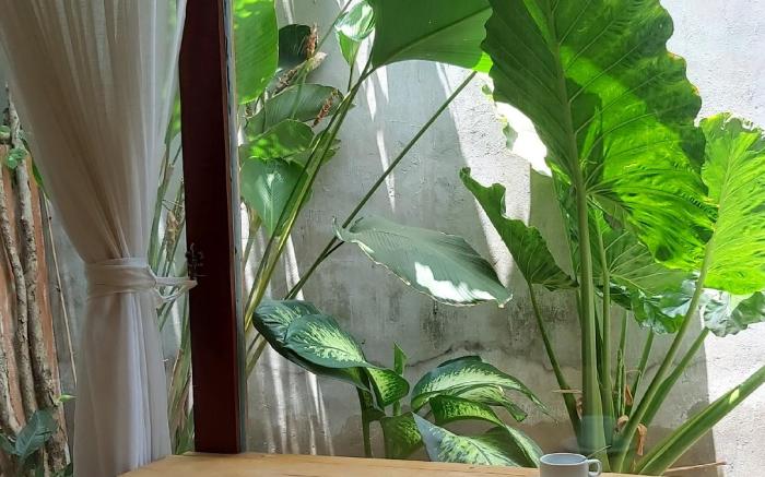 Floating market cabin, tropical, paceful