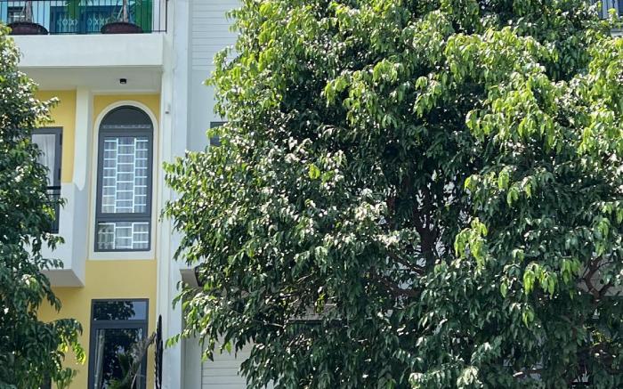 Homestay The Little House Premium