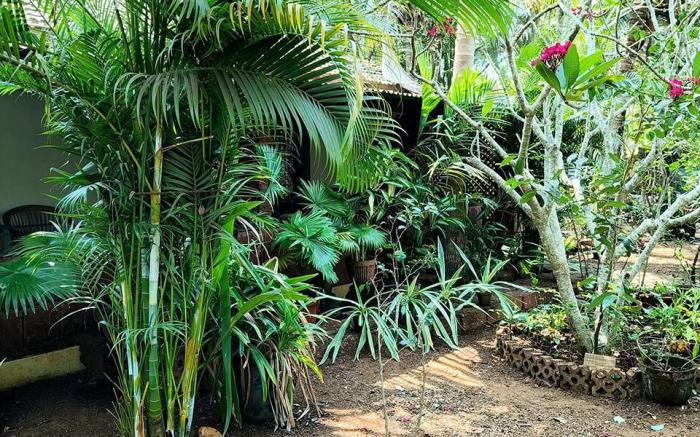 L'AZUR Studio Cottage 1, Vagator Beach GOA