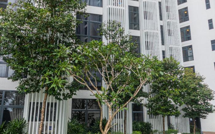 Beautiful Suites Seaview @ The Shore Kota Kinabalu